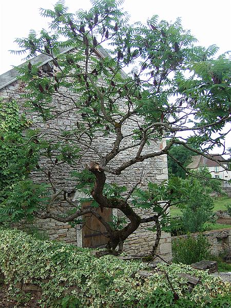 2010-05- (72).JPG